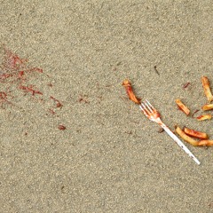 Fusion 2016 Sets, Playlist, Mixe, Festival - ФУЗИОН 2016