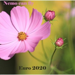 Euro 2020