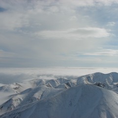 Ara martirosyan