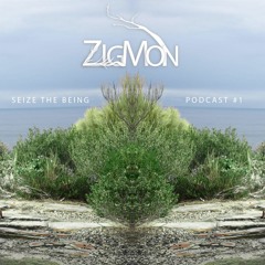 Seize The Being ~ Personal Podcast
