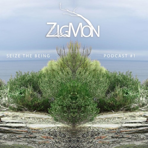 Seize The Being ~ Personal Podcast