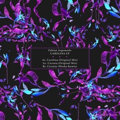 Fabian Argomedo - Ciconia (Original Mix)