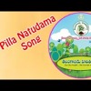 Haritha Haaram Pilla NatudamaTelangana song DJ Mix DJ Rajusdpt