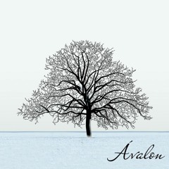 Avalon - My Generation (En vivo)