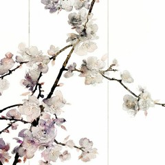 Mai Hoa Lệ/梅花泪 - Văn Hi