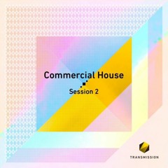 Commercial House Session 2 Demo