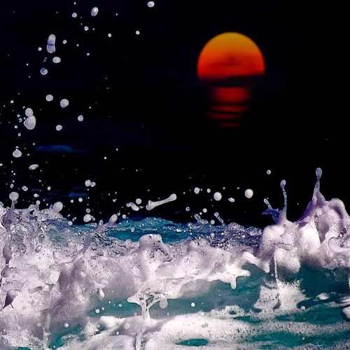 Warrior'sHeart S.Parson