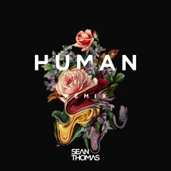 Zedd & Nicky Romero - Human (Sean Thomas Remix)
