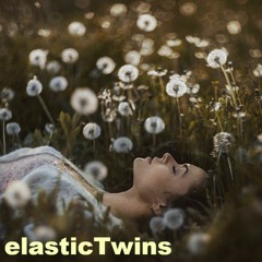 ElasticTwins - Clicks