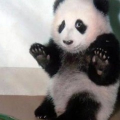 MENNING -  IT WASENT SHEGGIE(IT WAS RMxXx)