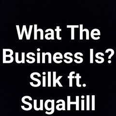 What The Business Is -Silk Ft.Suga Hill.mp3