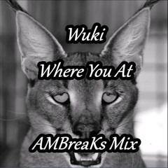 WuKi - Where You At (AMBreaKs Mix) FREE DOWNLOAD IN BUY