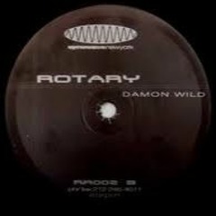 Damon Wild - Rotary[John Mitchell Remix]