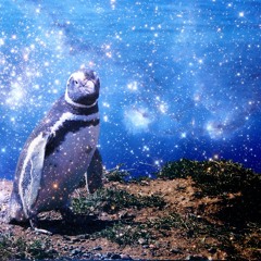 magellanic