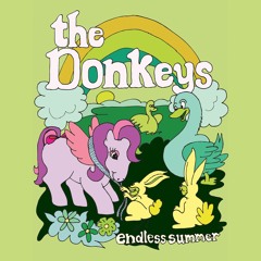 The Donkeys - "Theme From The Endless Summer" (Cover)