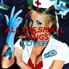 All The Small Things - Blink-182 (Cover) Brady Szuhaj
