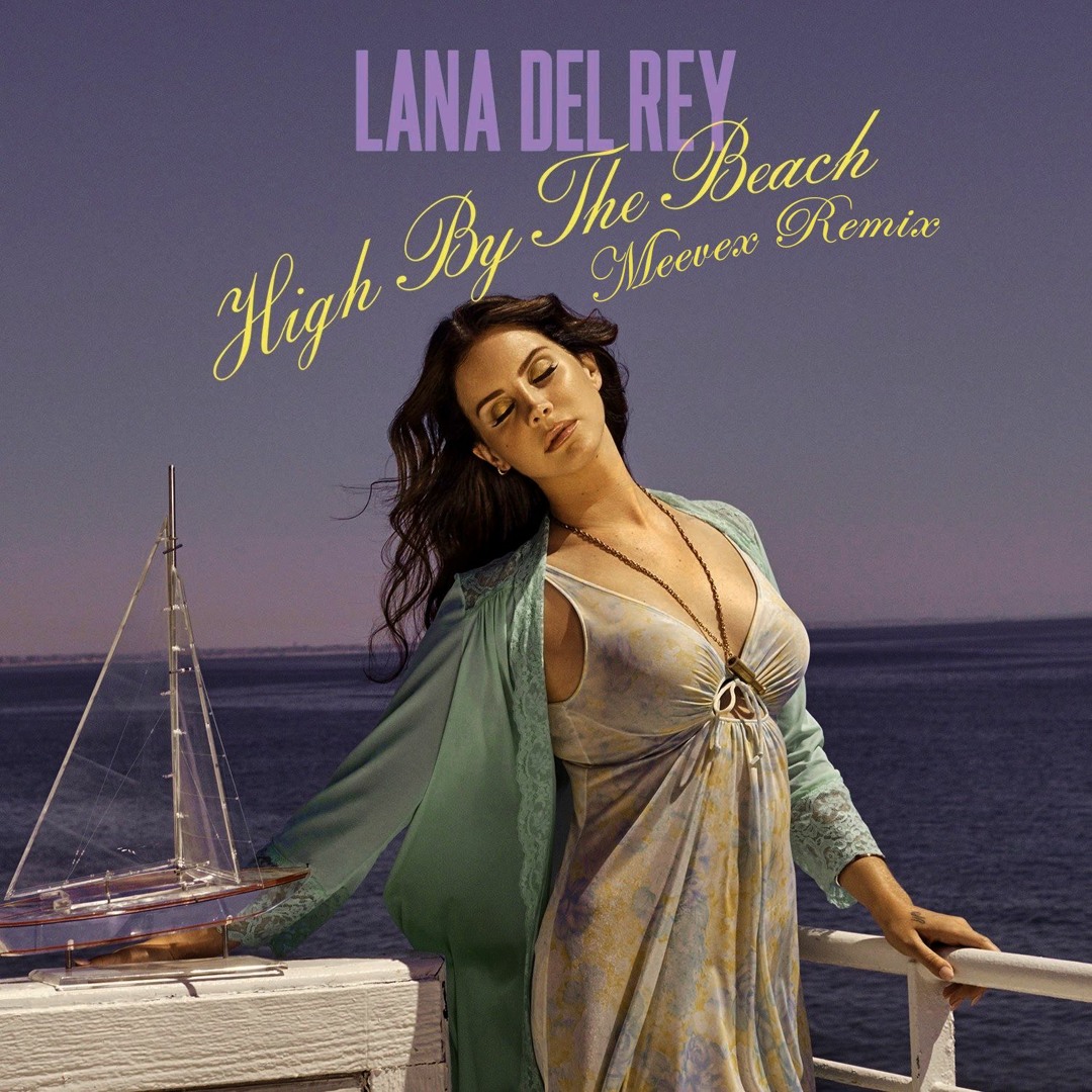 lana del rey high by the beach dress High By The Beach Nightgown : r/lanitas