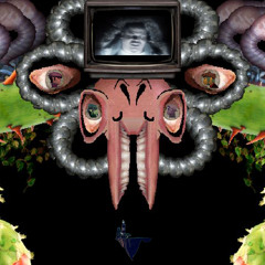 Feel Omega Inc.