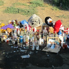 S.I.P KID