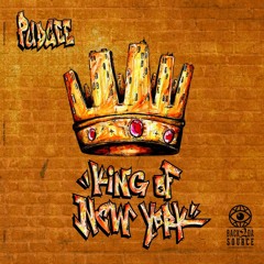 Pudgee - King Of New York LP (Snippets)