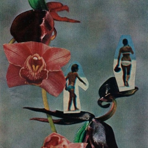 SHALQUOIR EP