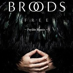 Broods - Free  (Psylite Bootleg Remix) [Drum&Bass]