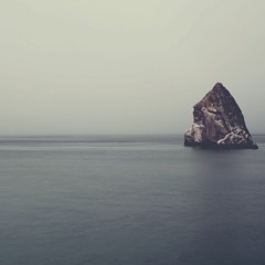 Tror jag vet vad du tänker