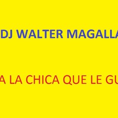 MIX - PARA LA CHICA QUE LE GUSTA EL SEX- 2016 - DJ WALTER MAGALLANES - wma