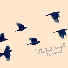 Take a Chance Cover (Wynona Genesis)