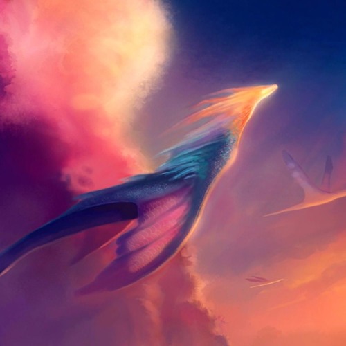 Art Of Fly