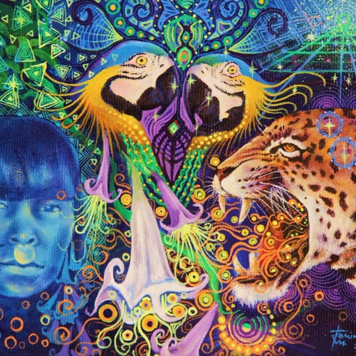 Ayahuasca (Album version)