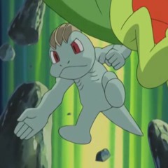 Think I'll Chop You 4ever (Lana Del Rey Summertime Sadness Remix)