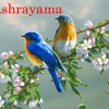 aaradhana-with-lyrics-hd-hindi-christian-song-chhoolein-dayanidhi-rao-beautiful-song-sha