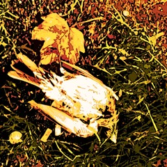 ...and for such a long time - Hang On