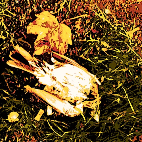 ...and for such a long time - Hang On