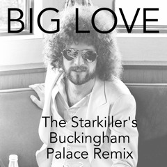 Big Love (The Starkiller's Buckingham Palace Remix)