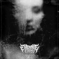 Enterprise Earth - Shallow Breath Cover