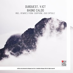 Dubquest, V.ict - Bagno Caldo (Dubphone Remix) - Vandalism 030