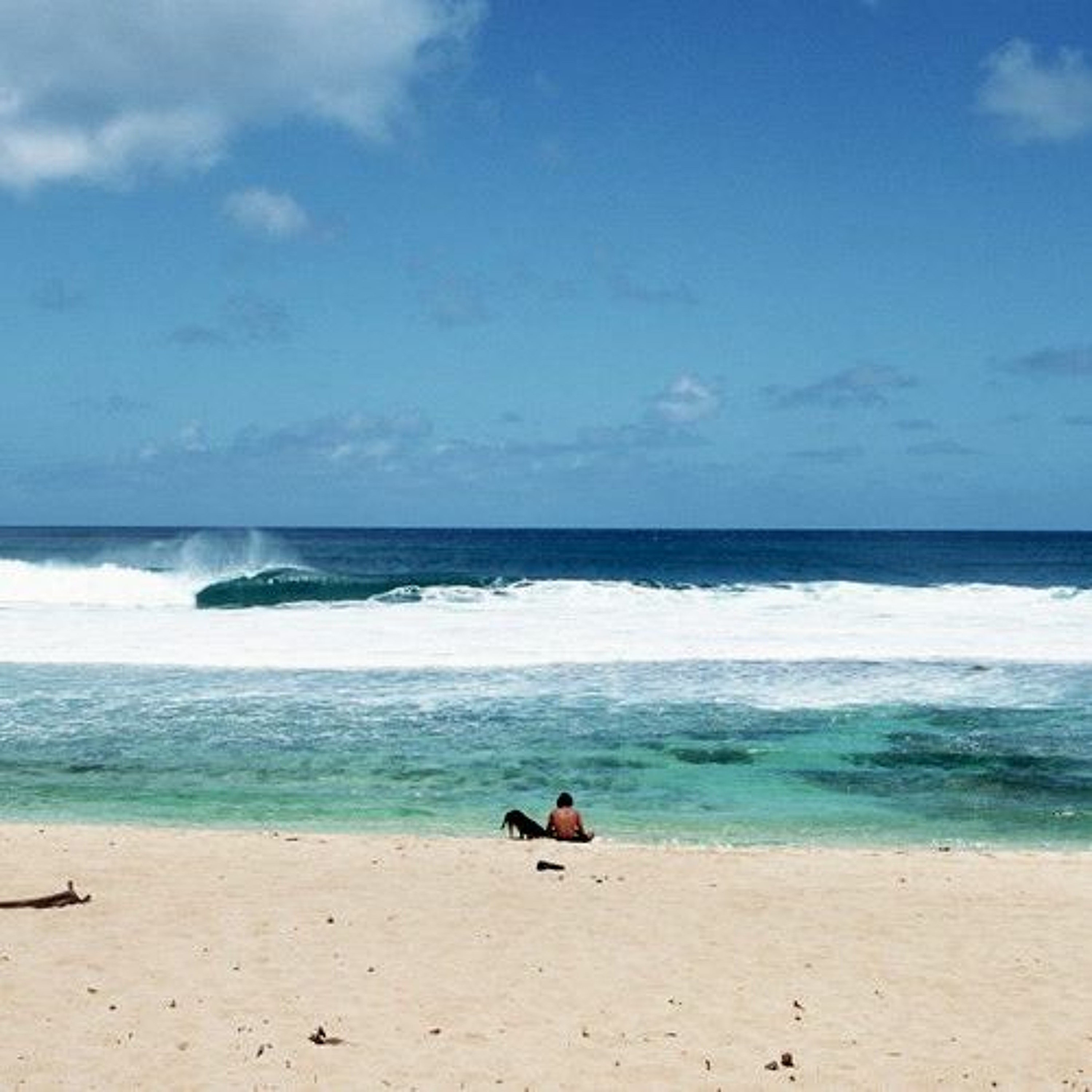 Watching the Waves episode artwork