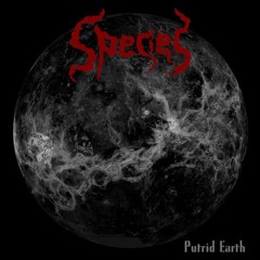 Species - Continuum [Vocal Test] Snippet