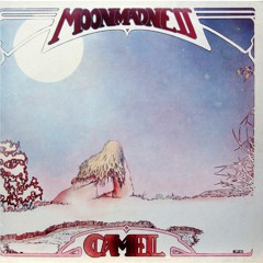 Camel - Air Born (Flute)