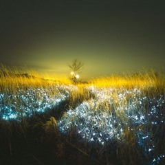 Drive Me by Nodium & Onyay Pheori