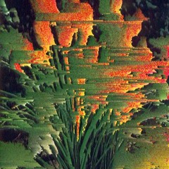 kniphofia_hybrida.