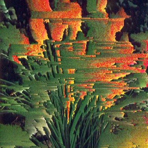 kniphofia_hybrida.