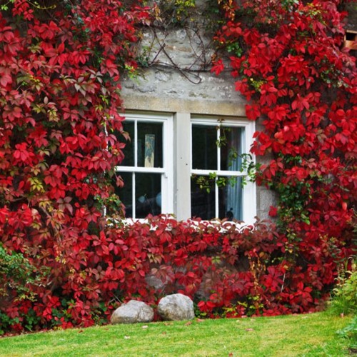 Kevin MacLeod - Vadodora Chill Mix