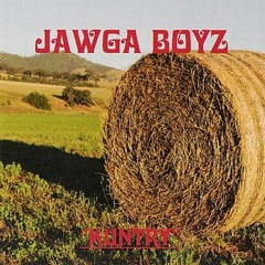 Can't See My Paint Job - Jawga Boyz