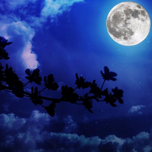 Ludwig van Beethoven - Piano Sonata No. 14, Op. 27 No. 2, 3rd Movement