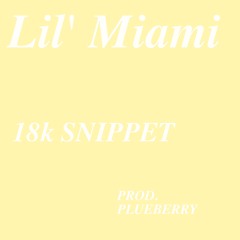 LIL' MIAMI - 18K SNIPPET (prod. plueberry) DEMO
