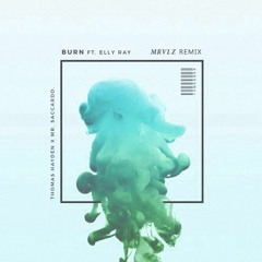 Thomas Hayden, Mr. Saccardo - Burn (Ft. Elly Ray) (MRVLZ Remix)  - REMIX COMPETITION