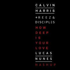 Calvin Harris, Disciples & REEZ - How Deep Is Your Love (Lucas Nunes 2K16 Mashup)